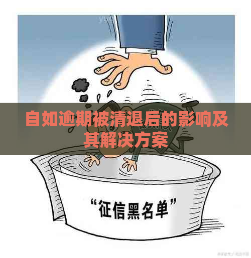 自如逾期被清退后的影响及其解决方案