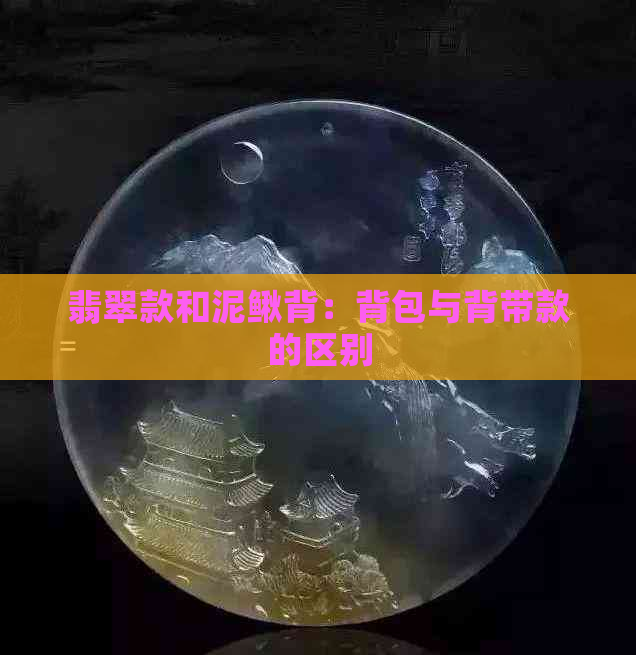 翡翠款和泥鳅背：背包与背带款的区别