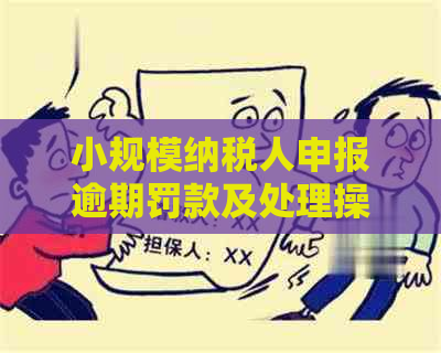 小规模纳税人申报逾期罚款及处理操作指南：2019年如何避免？