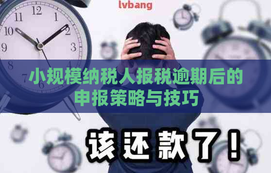 小规模纳税人报税逾期后的申报策略与技巧