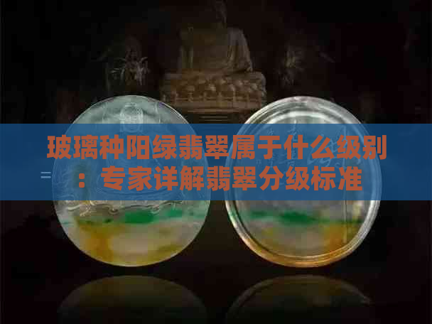 玻璃种阳绿翡翠属于什么级别：专家详解翡翠分级标准