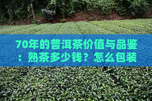 70年的普洱茶价值与品鉴：熟茶多少钱？怎么包装？