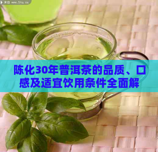 陈化30年普洱茶的品质、口感及适宜饮用条件全面解析