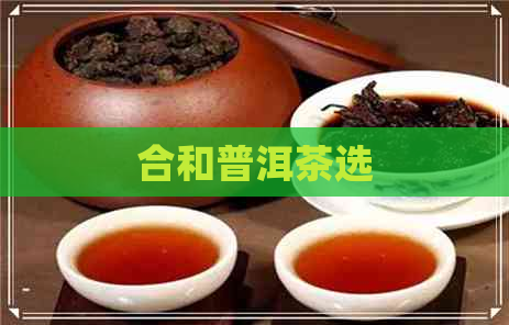 合和普洱茶选