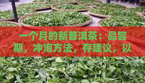 一个月的新普洱茶：品尝期，冲泡方法，存建议，以及品鉴技巧全解析