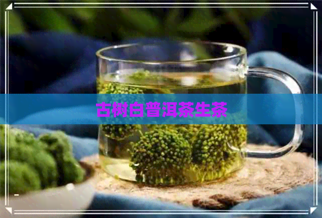 古树白普洱茶生茶