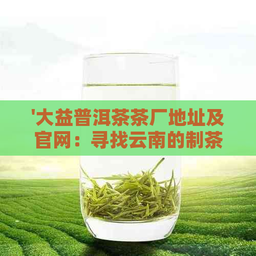 '大益普洱茶茶厂地址及官网：寻找云南的制茶工厂'