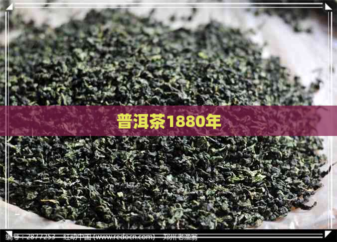 普洱茶1880年