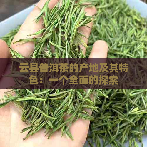 云县普洱茶的产地及其特色：一个全面的探索