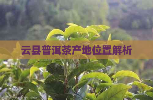 云县普洱茶产地位置解析