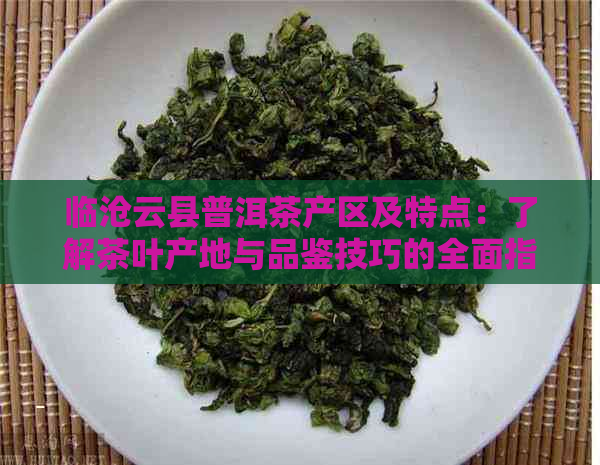 临沧云县普洱茶产区及特点：了解茶叶产地与品鉴技巧的全面指南