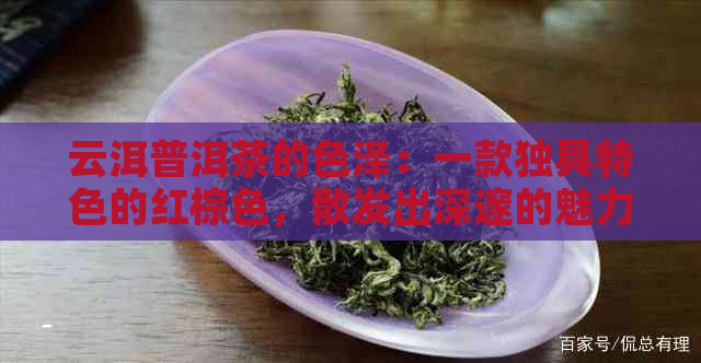 云洱普洱茶的色泽：一款独具特色的红棕色，散发出深邃的魅力与浓的果香