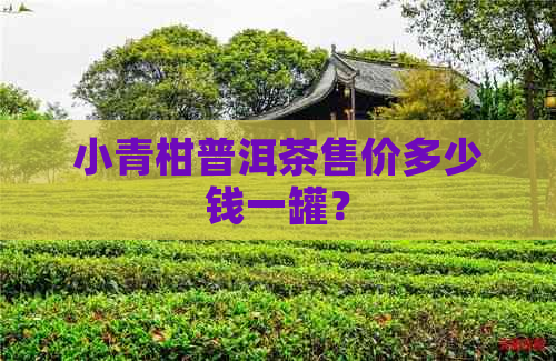 小青柑普洱茶售价多少钱一罐？