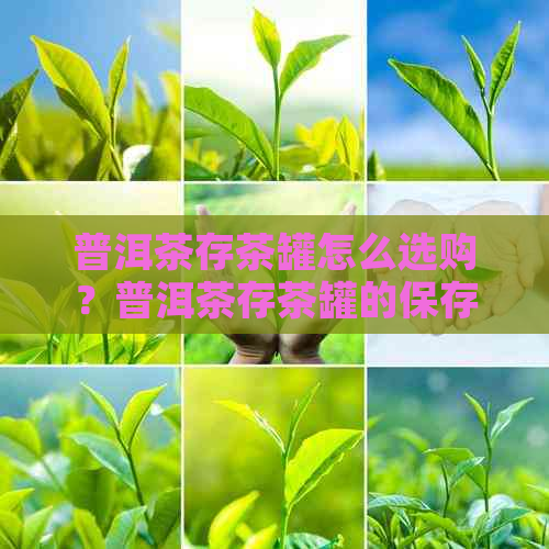 普洱茶存茶罐怎么选购？普洱茶存茶罐的保存时间以及评价。