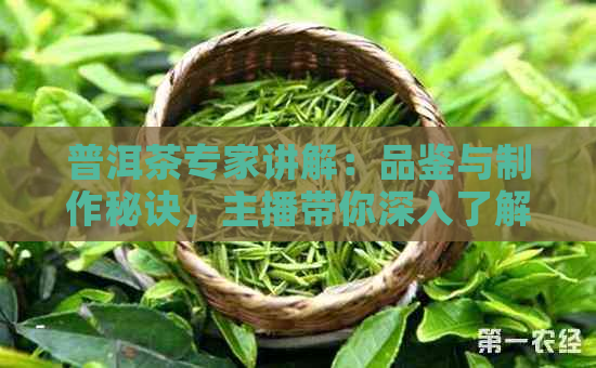 普洱茶专家讲解：品鉴与制作秘诀，主播带你深入了解普洱茶文化