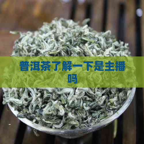 普洱茶了解一下是主播吗