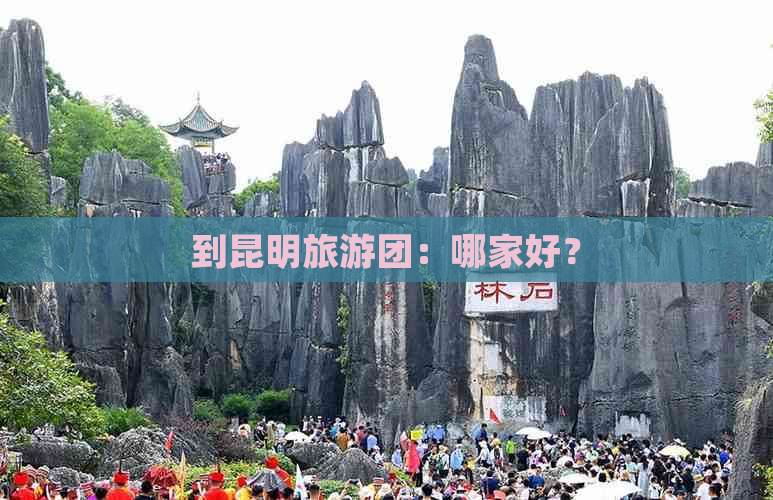 到昆明旅游团：哪家好？