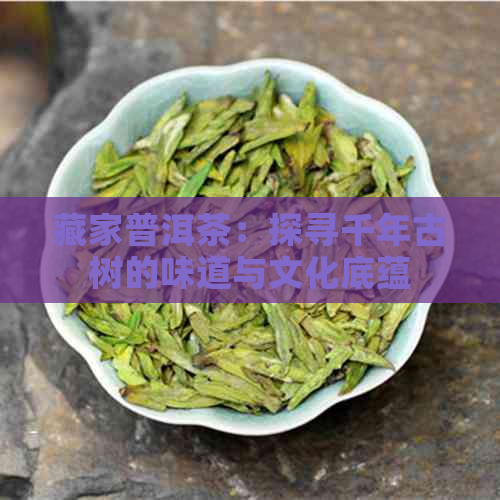 藏家普洱茶：探寻千年古树的味道与文化底蕴