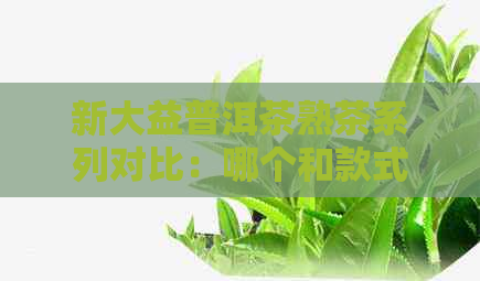 新大益普洱茶熟茶系列对比：哪个和款式最值得推荐？