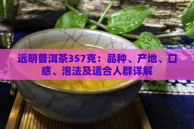 远明普洱茶357克：品种、产地、口感、泡法及适合人群详解