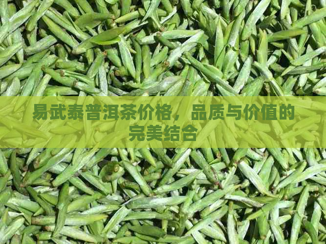 易武泰普洱茶价格，品质与价值的完美结合