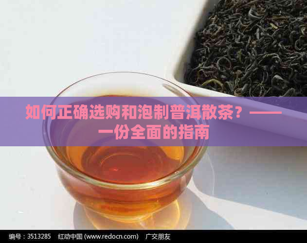 如何正确选购和泡制普洱散茶？——一份全面的指南