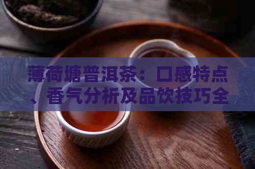 薄荷塘普洱茶：口感特点、香气分析及品饮技巧全解析