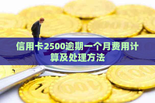 信用卡2500逾期一个月费用计算及处理方法