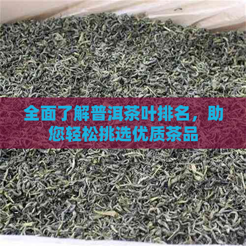 全面了解普洱茶叶排名，助您轻松挑选优质茶品