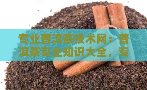 专业普洱茶技术网：普洱茶专业知识大全，专注于普洱茶的茶仓与网站