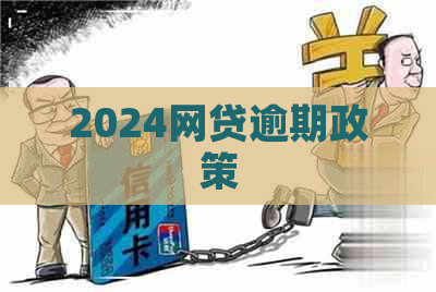 2024网贷逾期政策