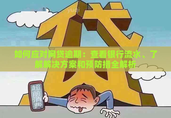 如何应对网贷逾期：查看银行流水、了解解决方案和预防措全解析