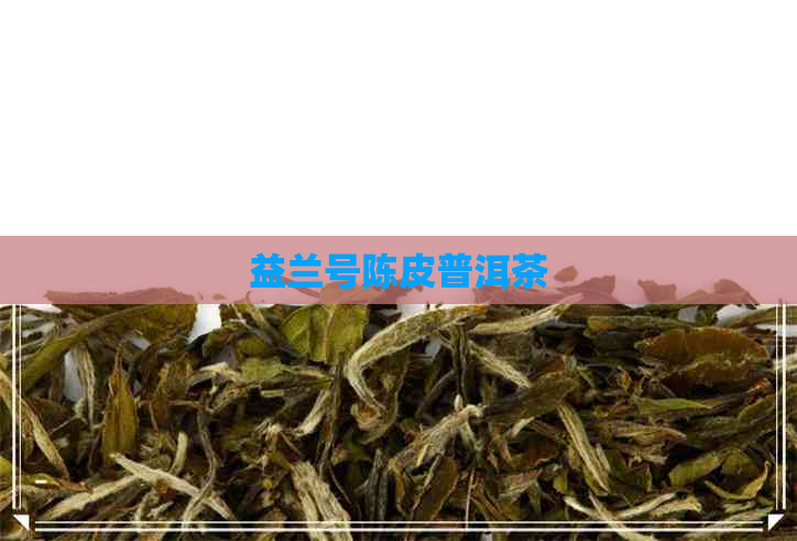 益兰号陈皮普洱茶