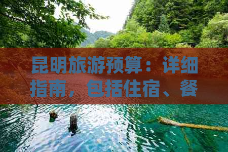 昆明旅游预算：详细指南，包括住宿、餐饮、景点门票和交通费用