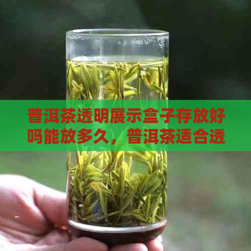 普洱茶透明展示盒子存放好吗能放多久，普洱茶适合透明展示架吗？