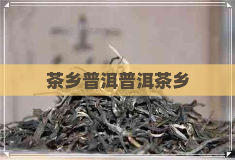 茶乡普洱普洱茶乡