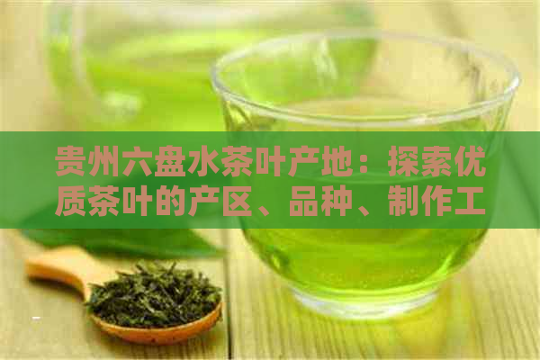 贵州六盘水茶叶产地：探索优质茶叶的产区、品种、制作工艺及茶文化