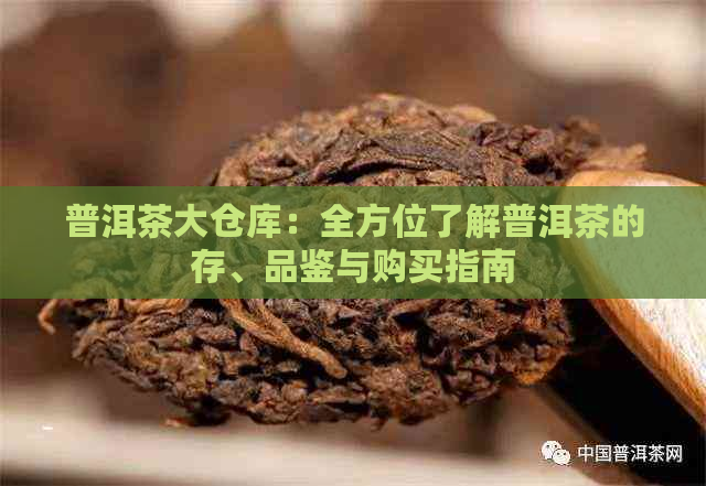 普洱茶大仓库：全方位了解普洱茶的存、品鉴与购买指南