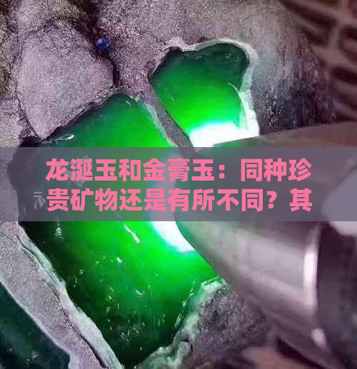 龙涎玉和金膏玉：同种珍贵矿物还是有所不同？其价值又如何？