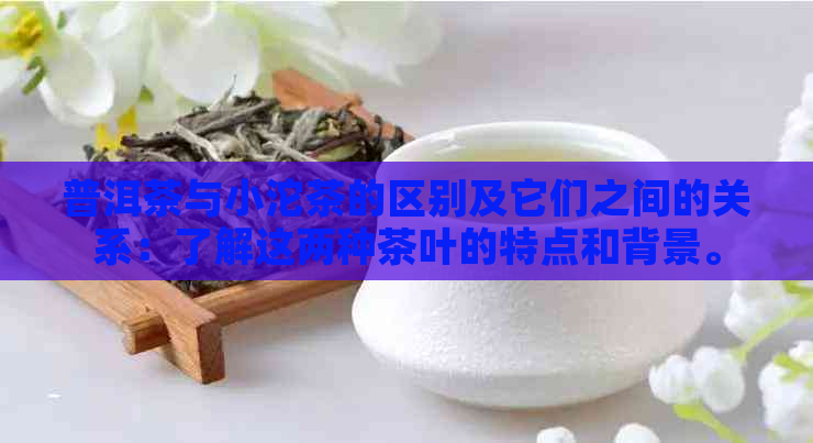 普洱茶与小沱茶的区别及它们之间的关系：了解这两种茶叶的特点和背景。