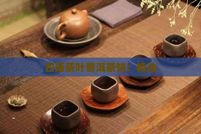 古陌茶叶普洱茶饼：精选