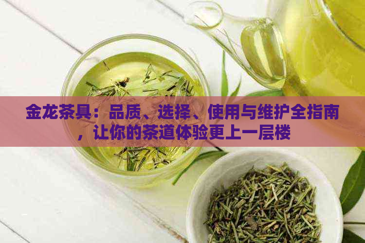 金龙茶具：品质、选择、使用与维护全指南，让你的茶道体验更上一层楼