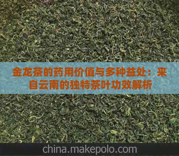 金龙茶的药用价值与多种益处：来自云南的独特茶叶功效解析