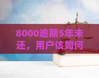 8000逾期5年未还，用户该如何解决还款问题及可能的信用影响？