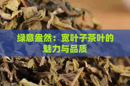 绿意盎然：宽叶子茶叶的魅力与品质