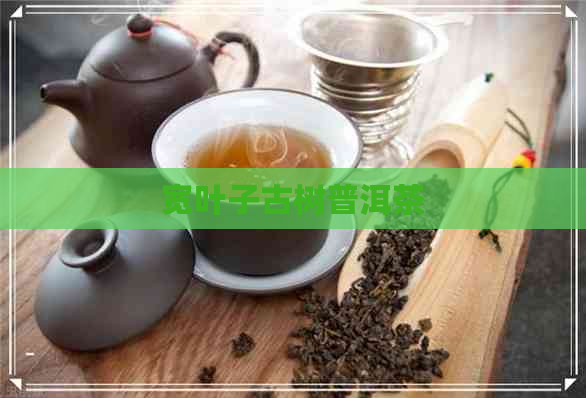 宽叶子古树普洱茶