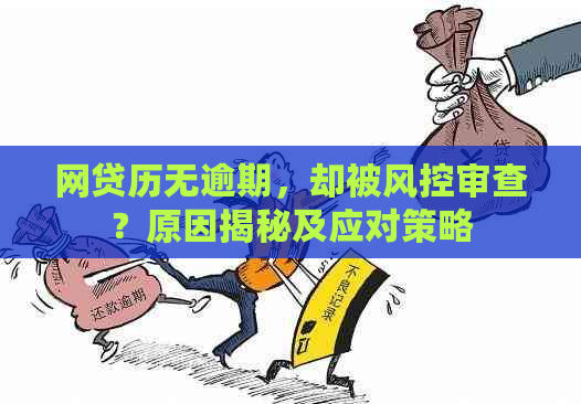 网贷历无逾期，却被风控审查？原因揭秘及应对策略