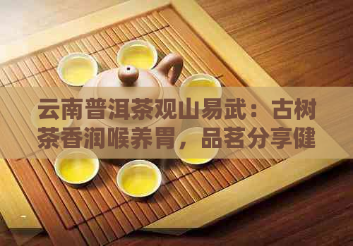 云南普洱茶观山易武：古树茶香润喉养胃，品茗分享健生活