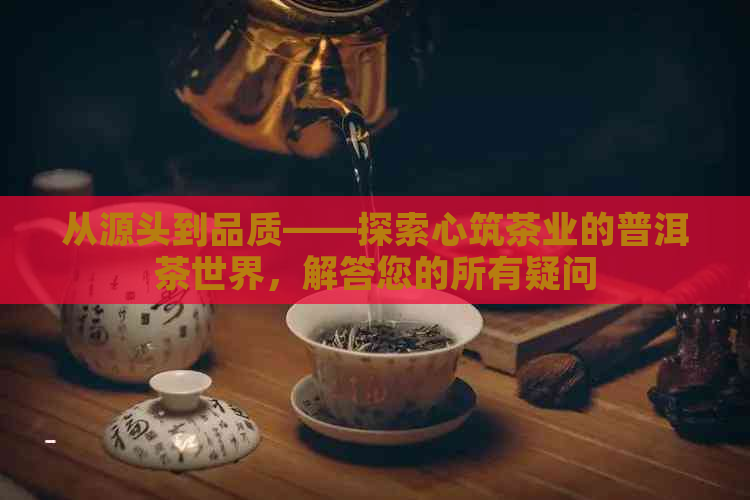 从源头到品质——探索心筑茶业的普洱茶世界，解答您的所有疑问