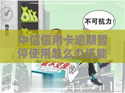 中信信用卡逾期暂停使用怎么办还能恢复吗